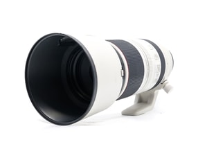 Canon RF 100-500mm f/4.5-7.1L IS USM