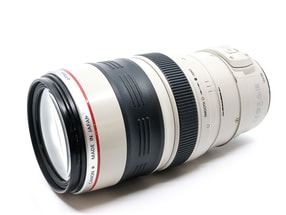 Canon EF 28-300mm f/3.5-5.6 L IS USM