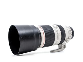 Canon EF 100-400mm f/4.5-5.6 L IS II USM