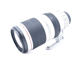 Canon EF 100-400mm f/4.5-5.6 L IS II USM