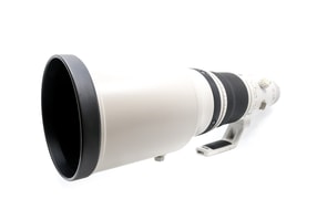 Canon EF 500mm f/4 L IS II USM