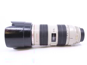 Canon EF 70-200mm f/2.8 L IS II USM
