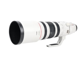 Canon EF 200-400mm f/4 L IS USM with 1.4x Extender