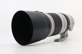 Canon EF 100-400mm f/4.5-5.6 L IS II USM