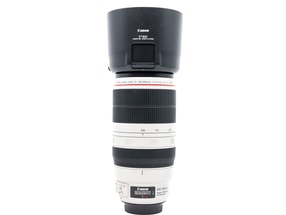 Canon EF 100-400mm f/4.5-5.6 L IS II USM