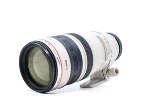 Canon EF 100-400 mm f/4.5-5.6 L IS USM