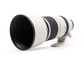Canon RF 100-500mm f/4.5-7.1L IS USM