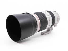 Canon EF 100-400mm f/4.5-5.6 L IS II USM