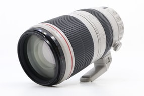 Canon EF 100-400mm f/4.5-5.6 L IS II USM