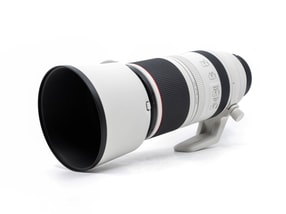 Canon RF 100-500mm f/4.5-7.1L IS USM