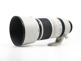 Canon RF 100-500mm f/4.5-7.1L IS USM