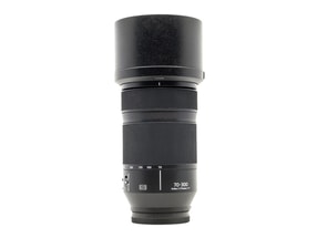 Panasonic Lumix S 70-300mm f/4.5-5.6 Macro OIS