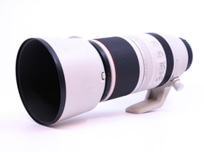 Canon RF 100-500mm f/4.5-7.1L IS USM