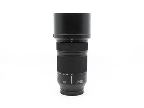 Panasonic Lumix S 70-300mm f/4.5-5.6 Macro OIS