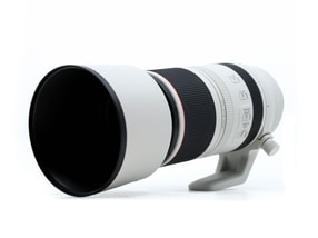 Canon RF 100-500mm f/4.5-7.1L IS USM