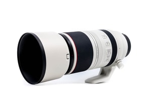 Canon RF 100-500mm f/4.5-7.1L IS USM