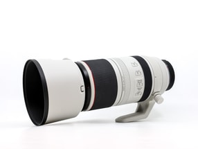 Canon RF 100-500mm f/4.5-7.1L IS USM
