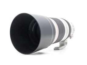 Canon EF 100-400mm f/4.5-5.6 L IS II USM