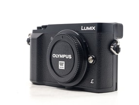 Panasonic Lumix DMC-GX80