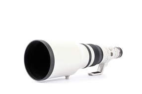 Canon RF 600mm f/4 L IS USM