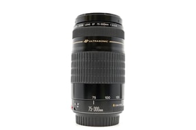 Canon EF 75-300mm f/4-5.6