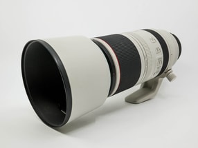 Canon RF 100-500mm f/4.5-7.1L IS USM