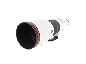 Sony FE 600mm f/4 GM OSS