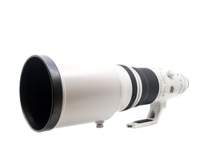 Canon EF 500mm f/4 L IS II USM