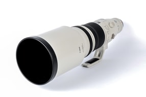 Canon EF 500mm f/4 L IS II USM