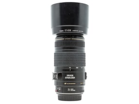 Canon EF 75-300mm f/4-5.6 USM