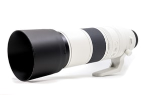 Canon RF 200-800mm f/6.3-9 IS USM