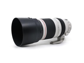 Canon EF 100-400mm f/4.5-5.6 L IS II USM