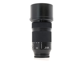 Panasonic Lumix S 70-300mm f/4.5-5.6 Macro OIS