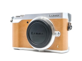 Panasonic Lumix DMC-GX80