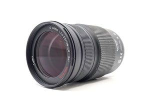 Panasonic Lumix G Vario 100-300mm f/4-5.6 Mega O.I.S.
