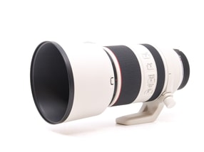 Canon RF 70-200mm f/2.8 L IS USM