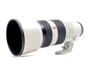 Sony FE 100-400mm f/4.5-5.6 GM OSS