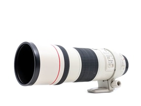 Canon EF 300mm f/4 L IS USM
