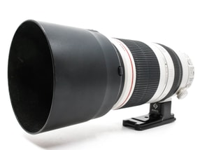 Canon EF 100-400mm f/4.5-5.6 L IS II USM