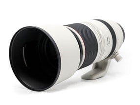 Canon RF 100-500mm f/4.5-7.1L IS USM