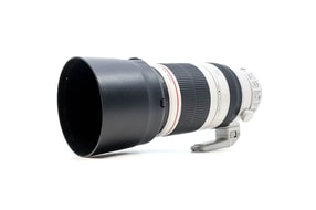Canon EF 100-400mm f/4.5-5.6 L IS II USM