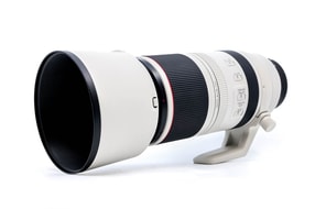 Canon RF 100-500mm f/4.5-7.1L IS USM