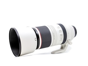 Canon RF 100-500mm f/4.5-7.1L IS USM