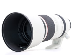Canon RF 100-500mm f/4.5-7.1L IS USM