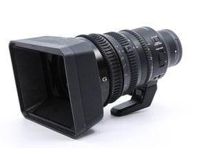 Sony E PZ 18-110mm f/4 G OSS