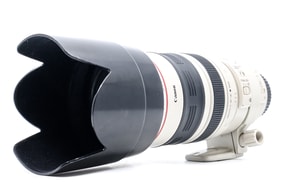 Canon EF 100-400mm f/4.5-5.6 L IS USM