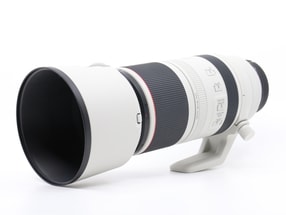 Canon RF 100-500mm f/4.5-7.1L IS USM