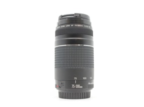 Canon EF 75-300mm f/4-5.6 III
