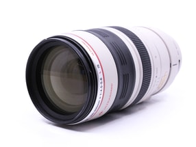 Canon EF 100-400mm f/4.5-5.6 L IS USM