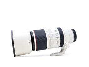 Canon RF 100-500mm f/4.5-7.1L IS USM